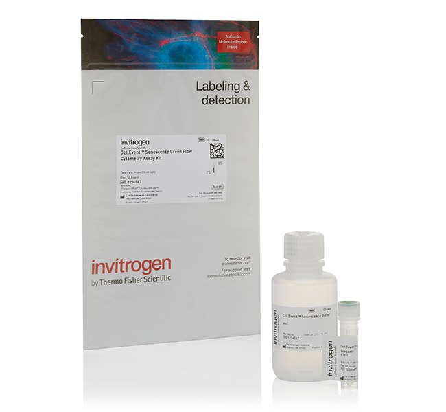Thermo Fisher Scientific CellEvent Senescence Green Flow Cytometry Assay Kit, 50 Assays