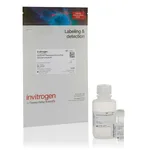 Thermo Fisher Scientific CellEvent Senescence Green Flow Cytometry Assay Kit, 50 Assays