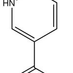 Merck N-Methyl-6-oxo-1,6-dihydropyridine-3-carboxamide