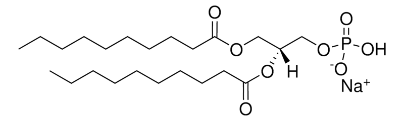 Merck 10:0 PA