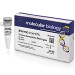 Thermo Fisher Scientific Thermus thermophilus DNA Ligase