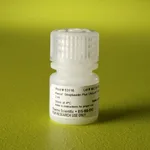 Thermo Fisher Scientific Pierce Streptavidin Plus UltraLink Resin, 2 mL