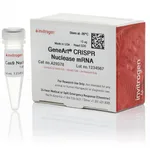 Thermo Fisher Scientific GeneArt CRISPR Nuclease mRNA