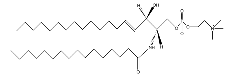 Merck Sphingomyelin