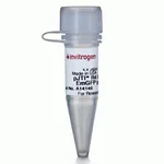 Thermo Fisher Scientific pJTI R4 Exp CMV EmGFP pA Vector