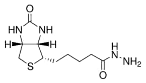 Merck BIOTIN HYDRAZIDE
