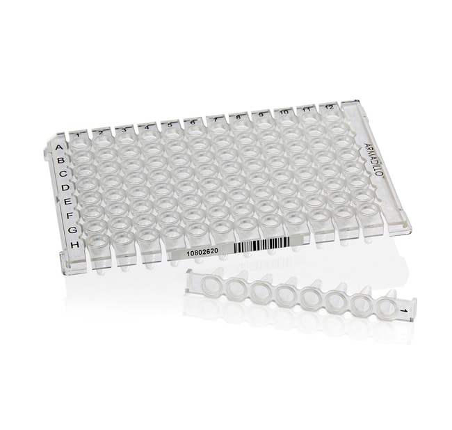 Thermo Fisher Scientific Armadillo Low-Profile PCR Strip Plate, 96 well, clear