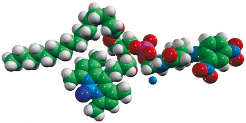 Merck 16:0-C4 TopFluor(R) DNP Cap PE