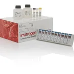 Thermo Fisher Scientific ICAM-1 (Soluble) Monkey Matched Antibody Pair