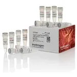 Thermo Fisher Scientific SuperScript III CellsDirect cDNA Synthesis Kit, 25 rxns