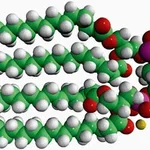 Merck 14:0 CARDIOLIPIN (SODIUM SALT)