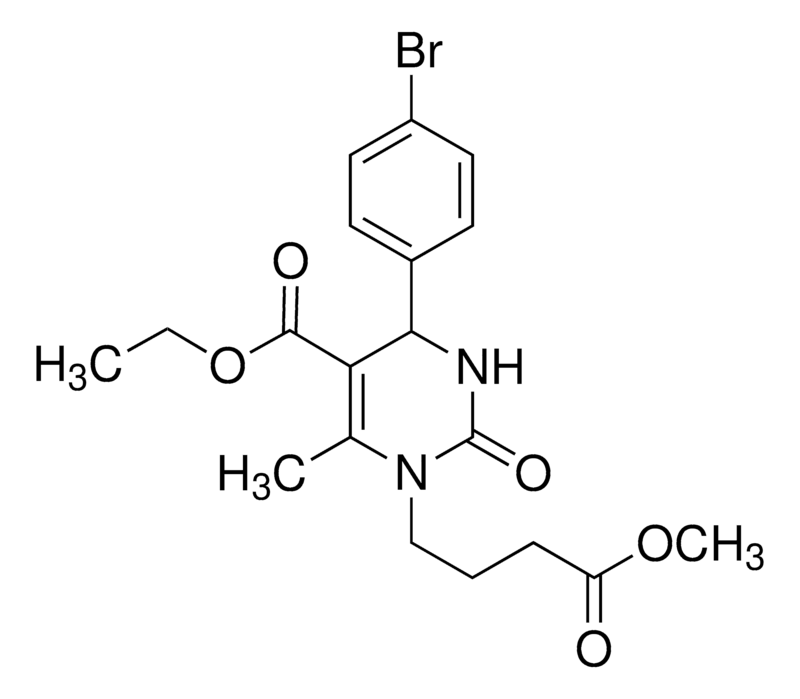 Merck SW02
