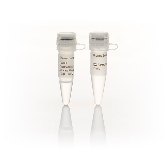 Thermo Fisher Scientific FastAP Thermosensitive Alkaline Phosphatase (1 U/μL), 1,000 units