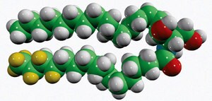 Merck CER2(D9)