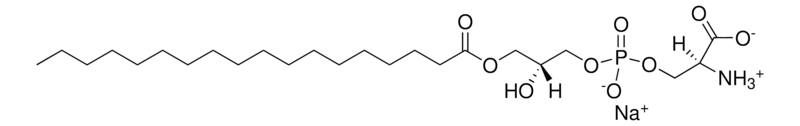 Merck 18:0 Lyso PS