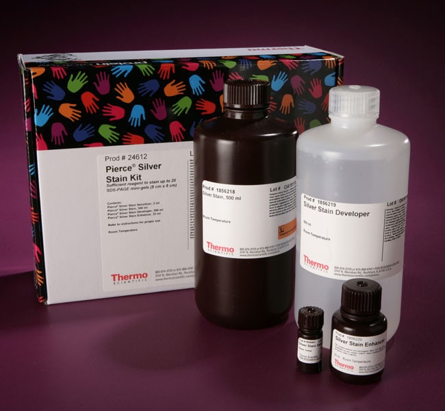 Thermo Fisher Scientific Pierce Silver Stain Kit, 1 L