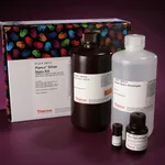 Thermo Fisher Scientific Pierce Silver Stain Kit, 1 L