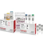 Thermo Fisher Scientific TrueTag Donor DNA Kit, GFP