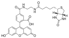 Merck BIOTIN (5-FLUORESCEIN) CONJUGATE BIOREA&