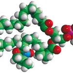 Merck 16:0-10 Doxyl PC