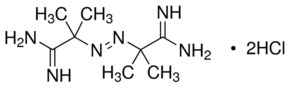 Merck 2,2``-AZOBIS(2-METHYLPROPIONAMIDINE)