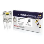 Thermo Fisher Scientific SacI (10 U/μL), 1,200 units