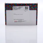 Thermo Fisher Scientific Biodyne B Nylon Membrane, 0.45 μm, 8 cm x 12 cm