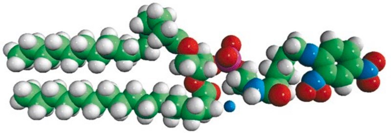 Merck 16:0 DNP Cap PE