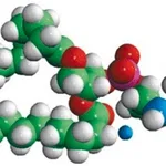 Merck 16:0 DNP Cap PE