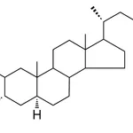 Merck 5-ALPHA-CHOLESTANE-2-BETA,3-AL - 1 MG&