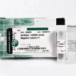 Thermo Fisher Scientific mirVana miRNA Mimic, Negative Control #1, 5 nmol