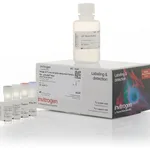 Thermo Fisher Scientific Image-iT Low Density Lipoprotein Uptake Kit, pHrodo Red