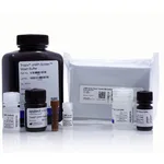 Thermo Fisher Scientific cAMP-Screen Direct Cyclic AMP Immunoassay System, 192 assays (2 x 96)