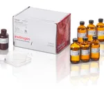 Thermo Fisher Scientific WesternBreeze Chromogenic Kit, anti-mouse