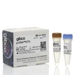 Thermo Fisher Scientific pcDNA5/TO Mammalian Expression Vector