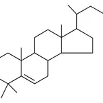 Merck 4,4-DIMETHYL-5-CHOLESTEN-3-OL-