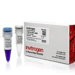 Thermo Fisher Scientific 1 Kb Plus DNA Ladder, 1 μL DNA Ladder (500 ng), 1 μL Sample Loading Buffer, 500 Applications