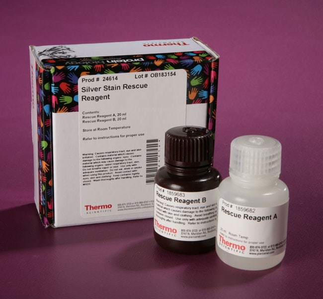 Thermo Fisher Scientific Pierce Silver Stain Rescue Reagent