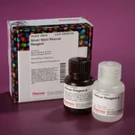 Thermo Fisher Scientific Pierce Silver Stain Rescue Reagent