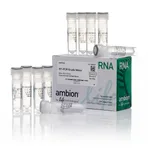 Thermo Fisher Scientific RT-PCR Grade Water