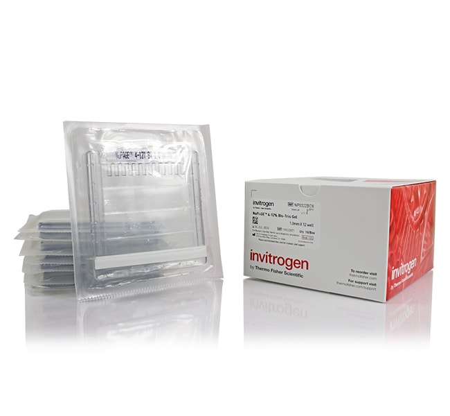 Thermo Fisher Scientific NuPAGE 4 to 12%, Bis-Tris, 1.0 mm, Mini Protein Gel, 10-well, 10 gels (1 box)