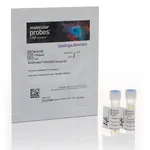 Thermo Fisher Scientific MitoProbe DiOC2(3) Assay Kit - For Flow Cytometry - 100 Assays