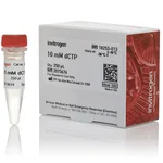Thermo Fisher Scientific dCTP (10 mM)