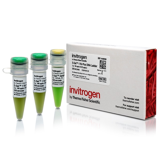 Thermo Fisher Scientific E-Gel 1 Kb Plus DNA Ladder