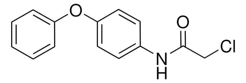 Merck 2-CHLORO-N-(4-PHENOXYPHENYL)ACET-