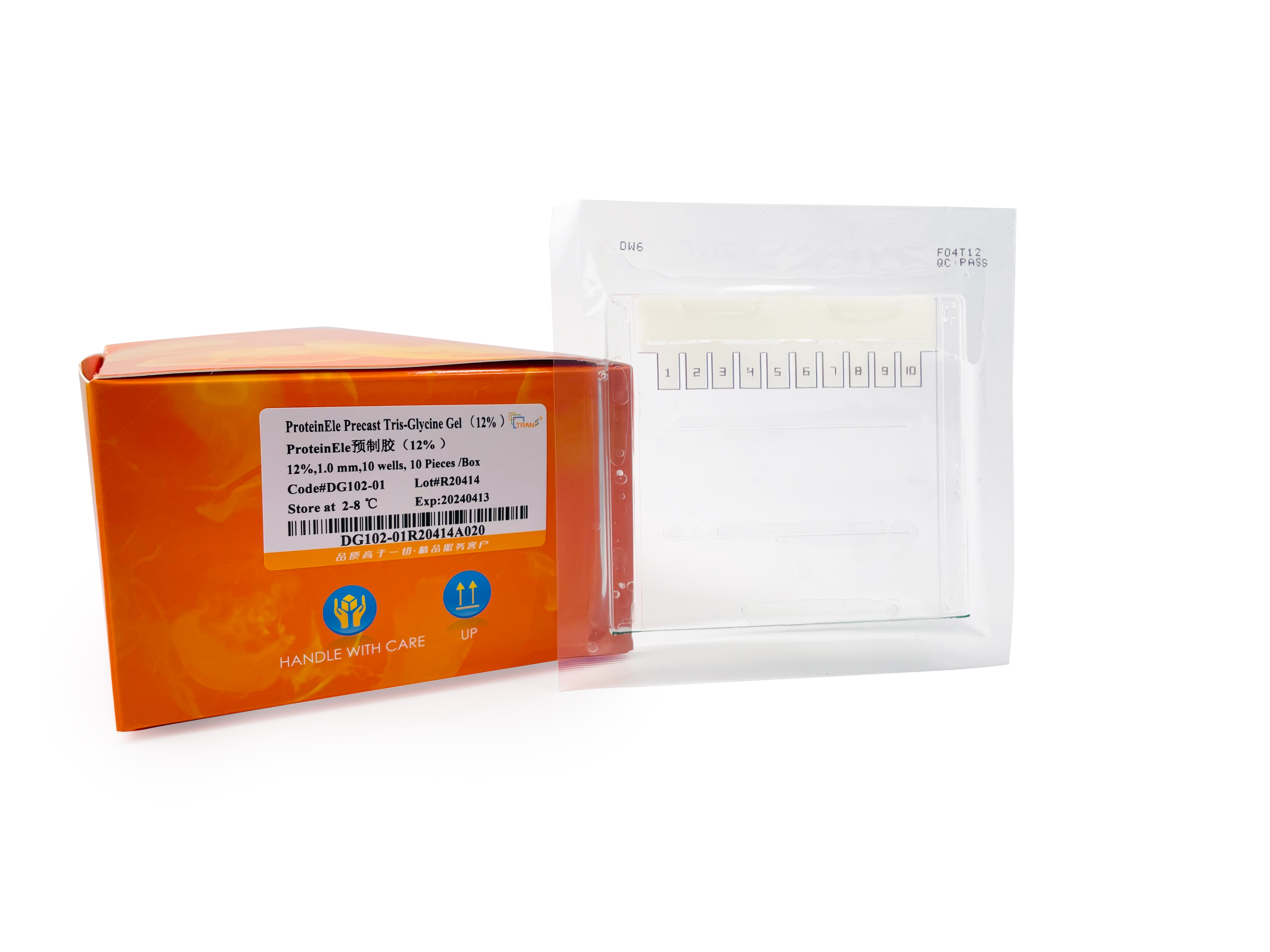ProteinEle Precast Tris-Glycine Gel（12%）