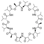 Merck VALINOMYCIN,>=98% (TLC), >=90% (HPLC)