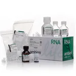 Thermo Fisher Scientific RNAqueous-4PCR Total RNA Isolation Kit