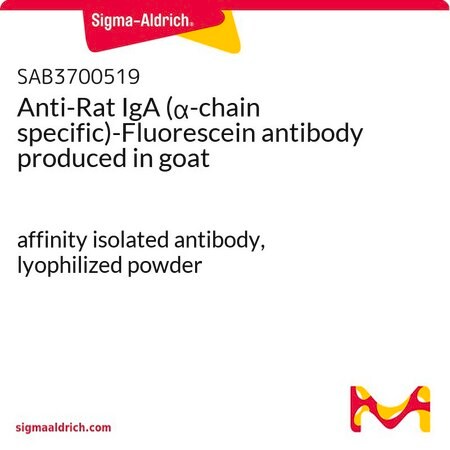 Merck Anti-Rat IgA (alpha-chain specific)-Fluorescein antibody produced in goat