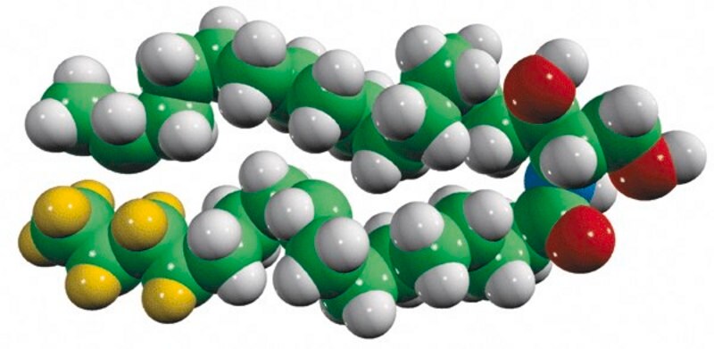 Merck CER10(d9)